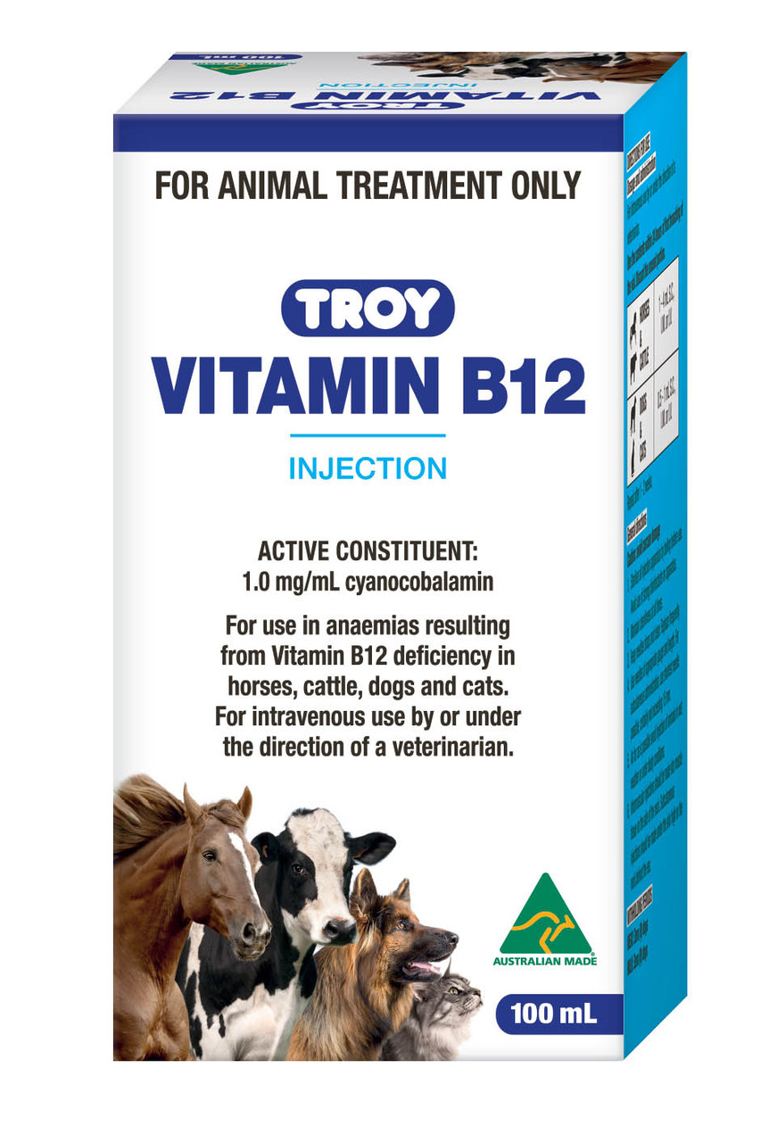Vitamin B12 injection vial labeled for 100 ml use for horse care