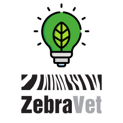 Eco Friendly Products