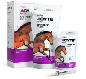 4CYTE Epiitalis Forte Horse