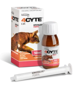4CYTE Epiitalis Forte Cat - 50ml