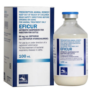 Eficur Antibiotic Suspension - 100mL