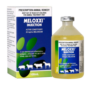 Meloxxi Injection - 250mL