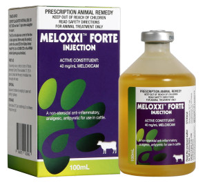 Meloxxi Forte Injection - 100mL