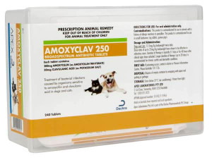 Amoxyclav 250mg tablets 240s
