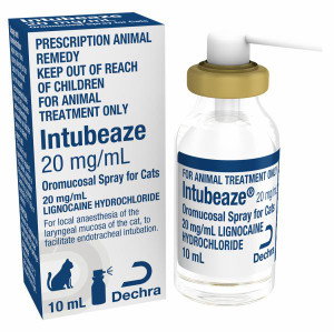 Intubeaze 20mg/ml 10ml