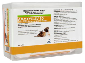 Amoxyclav 50mg tablets 300s