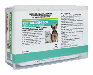 Cephacin/Cephalexin Flavoured 200mg Tablets 240s