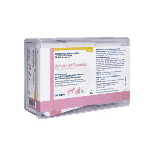 Amoxyclav Flavoured 250mg tablets 240s