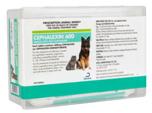 Cephacin/Cephalexin Flavoured 600mg Tablets 144s