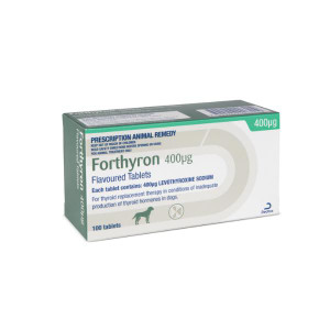 Forthyron 400mcg Flavoured Tablets
