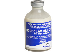 Noroclav Injection for Dogs and Cats 50mL (Amoxicillin 140mg/mL & Clavulanic Acid 35mg/mL)
