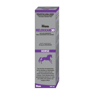 ilium Meloxicam 30 Suspension for Horses 250mL