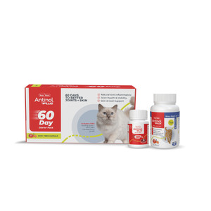 Antinol Plus Cat Easy Feed Starter Kit Box