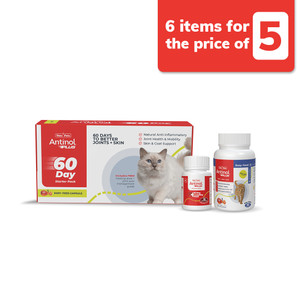 Antinol Plus Cat Easy Feed Starter Kit Box