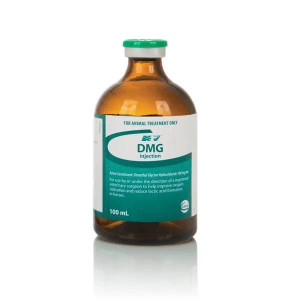 DMG Injection 100ml