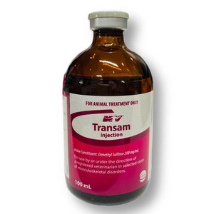 Transam Injection 100ml