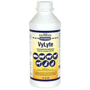 VyLyte  - 1L