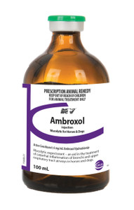 Ambroxol Injection - 100ml
