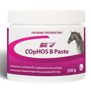 Cophos B Paste Pot - 250g