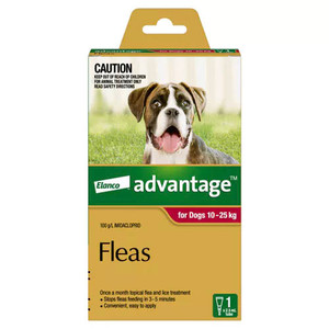 Advantage For Dogs (Large) 10-25kg - Single