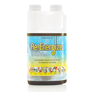 Re-energize - 1L