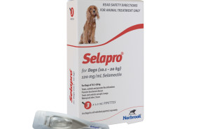 Selapro Spot On for Medium Dogs 10.1-20kg - 3pk