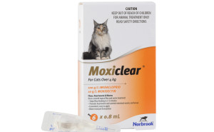 Moxiclear For Cats >4kg - Orange Pack of 6