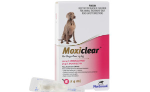 Moxiclear For Dogs >25kg - Pink Pack of 6
