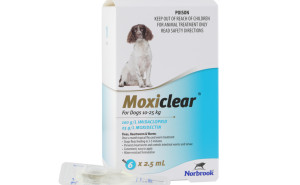 Moxiclear For Dogs 10-25kg - Blue Pack of 6