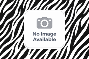 Schirmer Test Strips - Box of 50