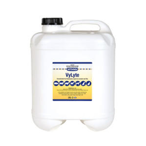 Vitamin B12 Injection - 100 ml