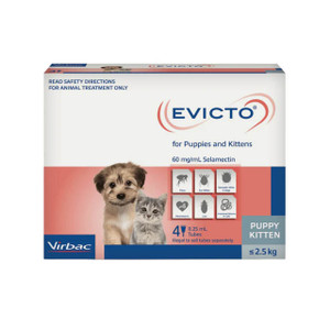 Evicto Puppy/Kitten (Up to 2.5kgs) - 4 pipettes