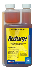 Recharge for Horses - 1L
