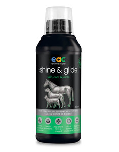 Shine & Glide - 250mL