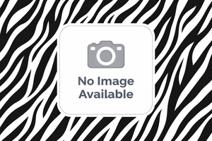 Fentanyl (Sandoz) 12mcg Patch (Pack of 5)
