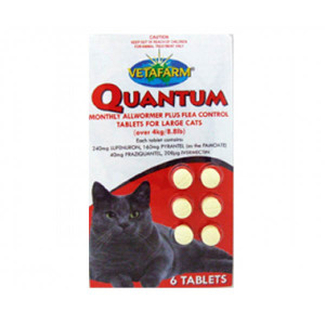 Quantum Tabs for Large Cats - 6