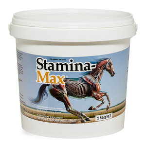 Stamina-max - 2.5kg