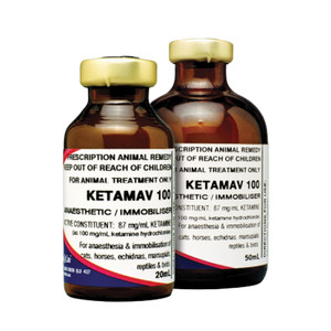Ketamav 100 Injection - 50ml