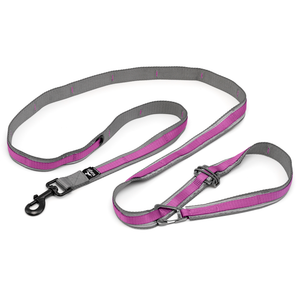 Kurgo Quantum Leash 2.0, Purple