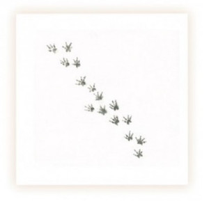 Sarah Brown Sympathy Card - Small Paws (Rodent Paws) - PACK OF 10