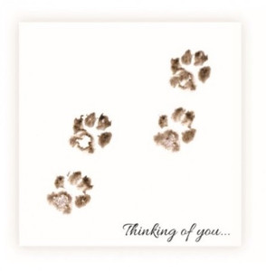Sarah Brown Sympathy Card - Four Paws Thinking of You - PACK OF 10