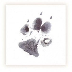 Sarah Brown Sympathy Card - Dog Paw - PACK OF 10