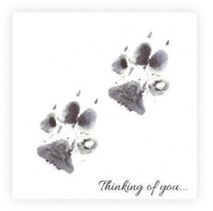 Sarah Brown Sympathy Card - Two Paws Thinking of You - PACK OF 10