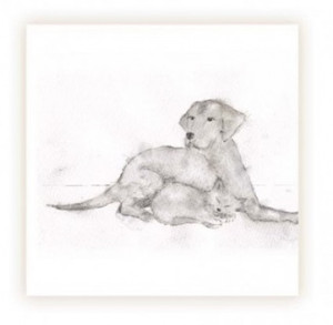 Sarah Brown Sympathy Card - Dog And Cat Sketch - PACK OF 10