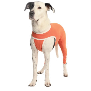 Post Surgery Clothing -  CopperBody Hind Legs Size 9