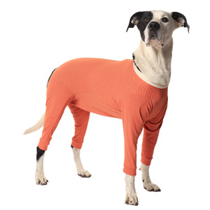 Post Surgery Clothing -  CopperBody 4-Legs #14