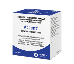 Accent Ceftiofur 50mg/ml - Powder for Injection 4g