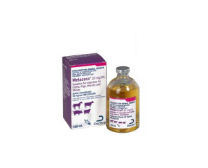 Metacoxx Inj 20mg/ml - 100ml