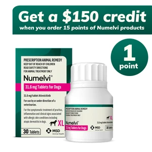 Numelvi 31.6mg (XL) - 30 Tablets