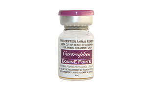 Cartrophen Equine Forte - 4ml